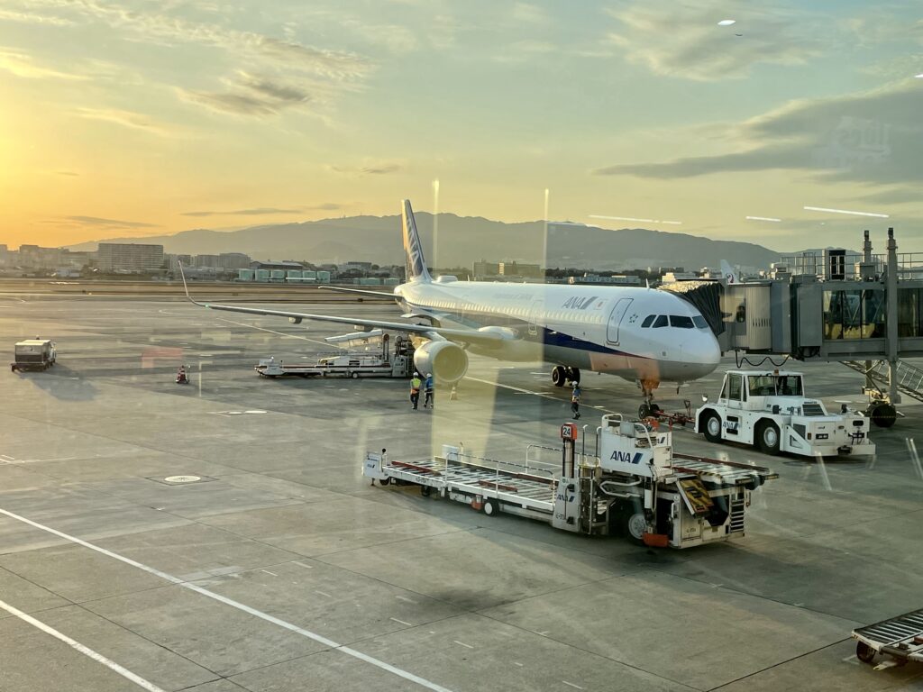 ANA 737便