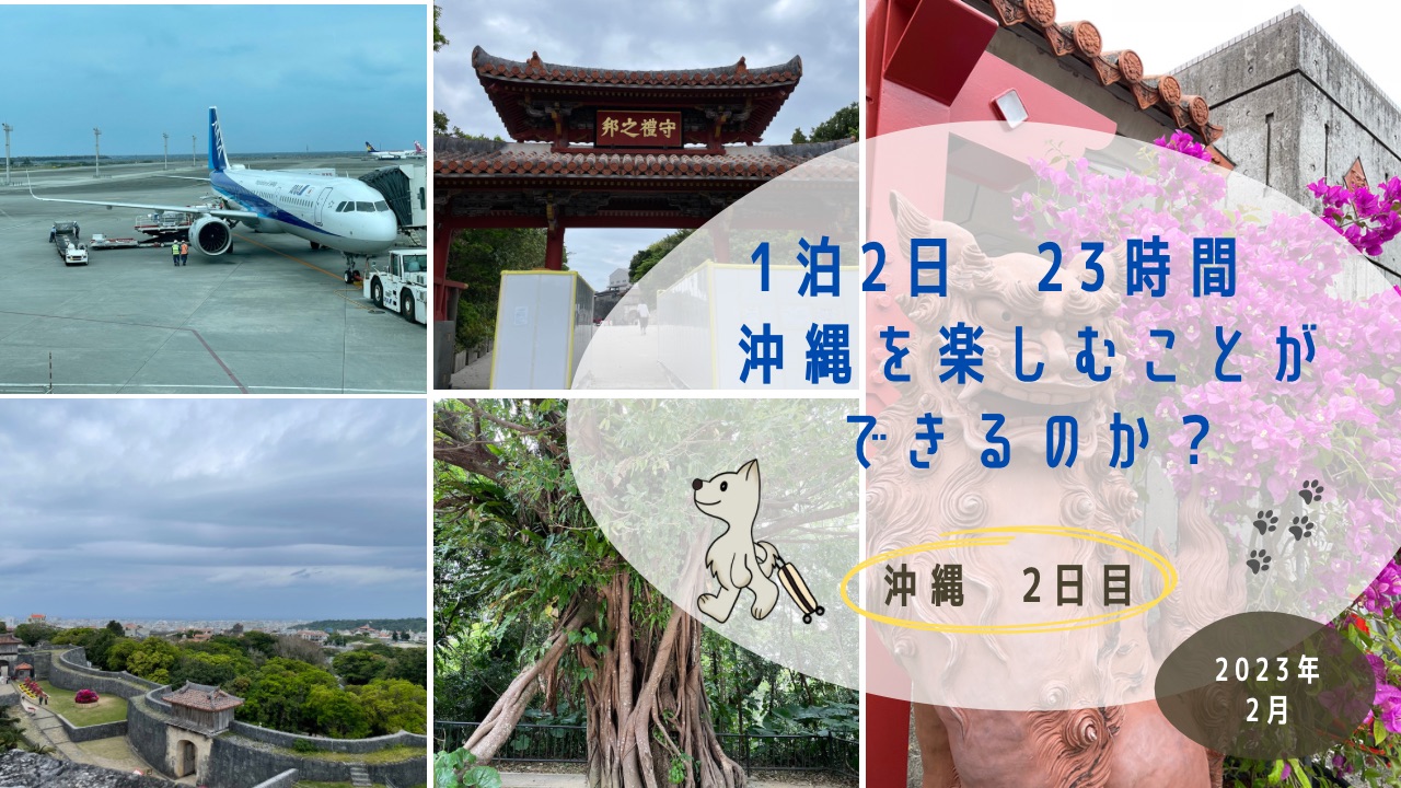 仙台空港発弾丸沖縄旅2日目